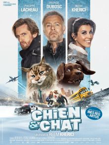 Chien et chat image: Chien et chat