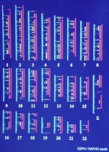 Indices image: Indices