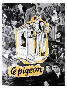 Le pigeon image: Le pigeon