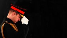Prince William, l'appel du devoir image: Prince William, l'appel du devoir