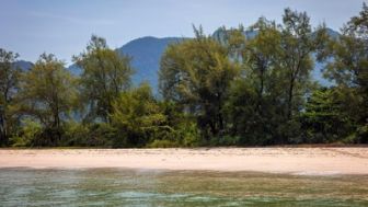image: The Island