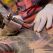 Tattoo Cover : sauveurs de tatouages
